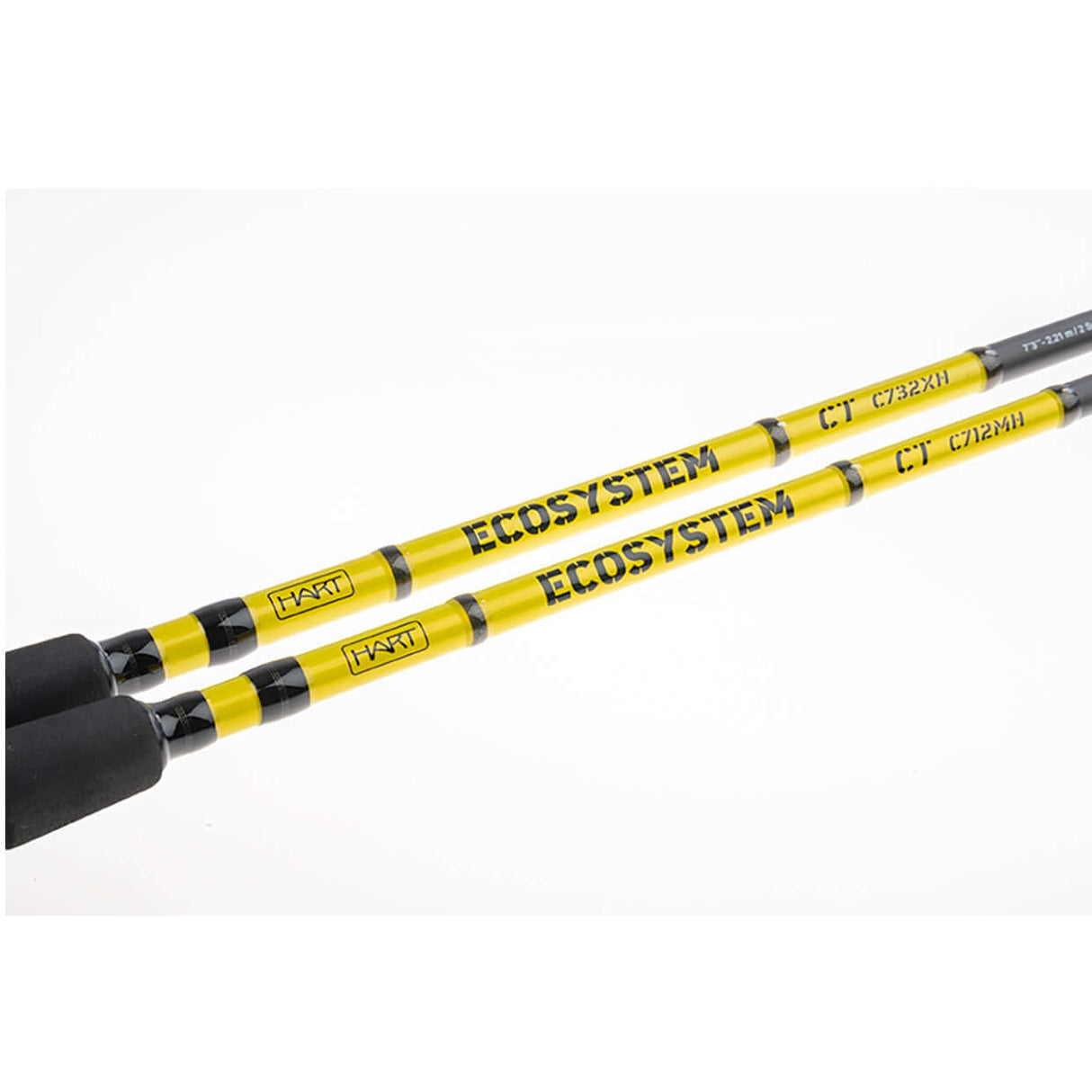 Cana Hart Ecosystem C71MH