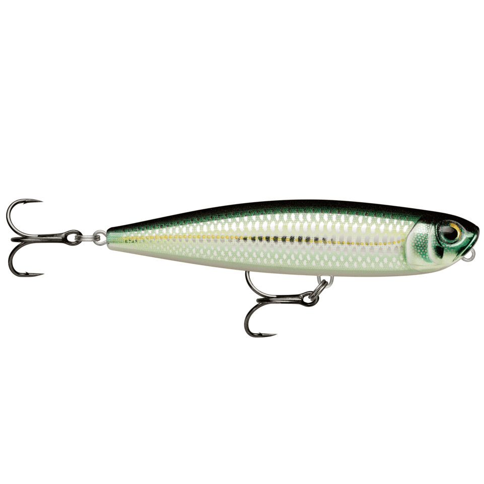 Jerkbait Rapala Xtreme Pencil 107 mm BLK - Tienda Bass