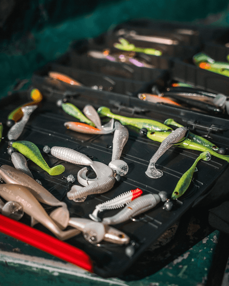 Novedades - Tienda Bass