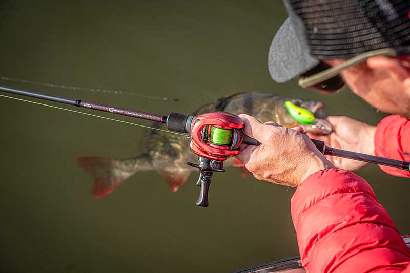 Caña Fox Rage Warrior Zander Cast 2,10 m