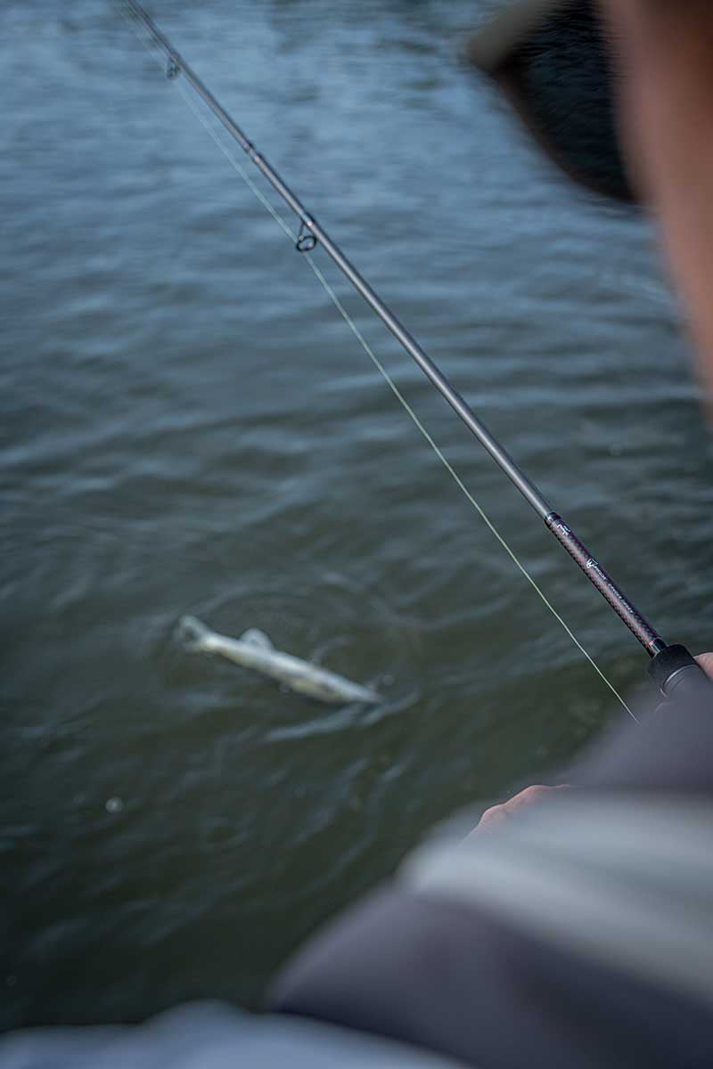 Cana Fox Rage Warrior {Zander Jig} 2,40 m