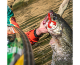 Vinil Strike King Craw 101 mm Delta Red