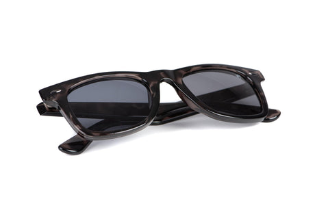 Gafas de sol Fox Rage Trans Camo Grey Lens - Tienda Bass