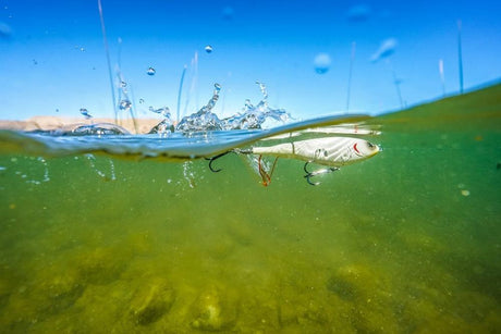 Señuelo Berkley Choppo 120 mm 28 g MFF - Tienda Bass